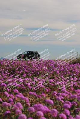 media/Jan-08-2023-SCCA SD (Sun) [[8f6a5b9391]]/Intermediate Group/Session 2 (Short Straight)/